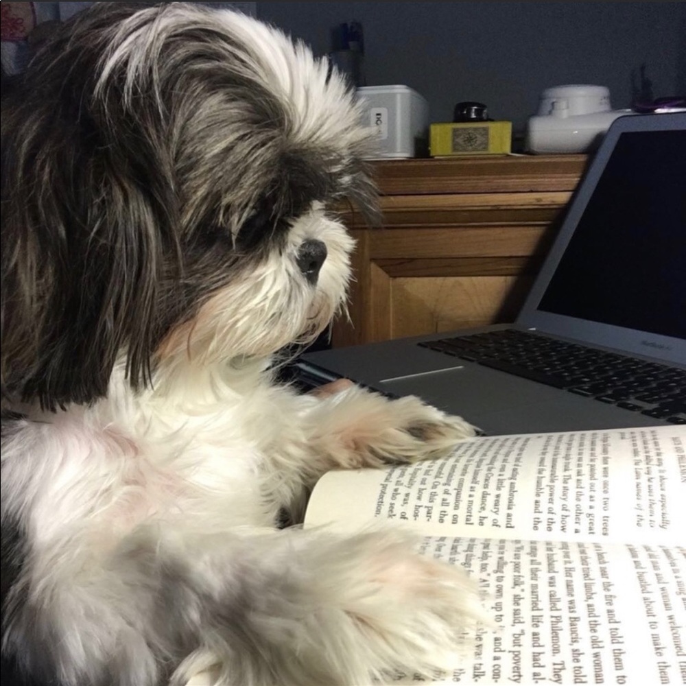 Meet your Posher, Kelly